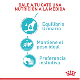 FCN URINARY CARE CAT - NUTRICION A LA MEDIDA